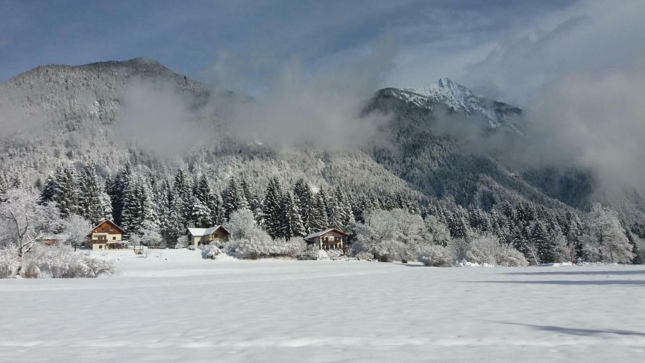 Haus Jana Villa Hermagor-Pressegger See Buitenkant foto