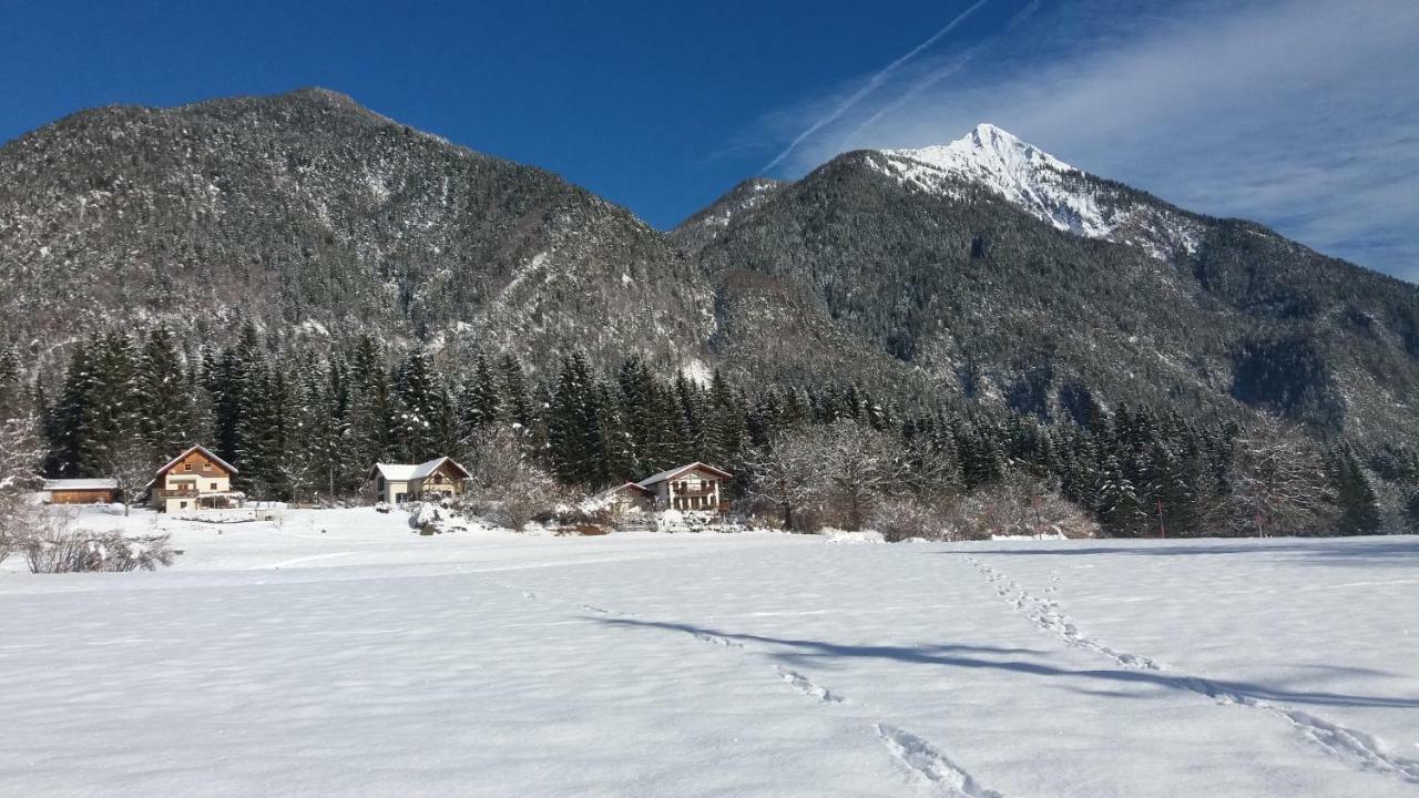 Haus Jana Villa Hermagor-Pressegger See Buitenkant foto